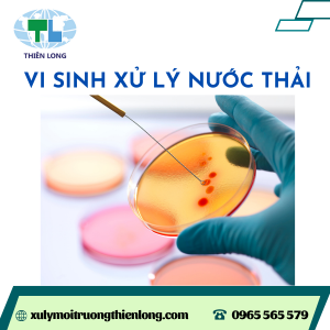 ca-c-loa-i-vi-sinh-trong-xu-ly-nuo-c-tha-i
